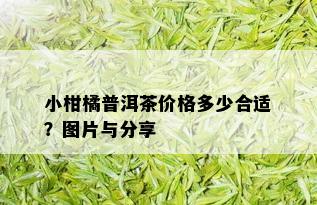 小柑橘普洱茶价格多少合适？图片与分享