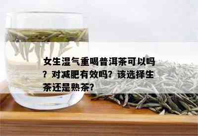 女生湿气重喝普洱茶可以吗？对减肥有效吗？该选择生茶还是熟茶？