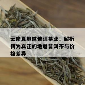 云南真地道普洱茶业：解析何为真正的地道普洱茶与价格差异