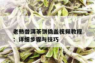 老熟普洱茶饼撬盖视频教程：详细步骤与技巧