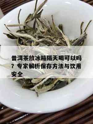 普洱茶放冰箱隔天喝可以吗？专家解析保存方法与饮用安全