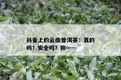 抖音上的云南普洱茶：真的吗？安全吗？称……