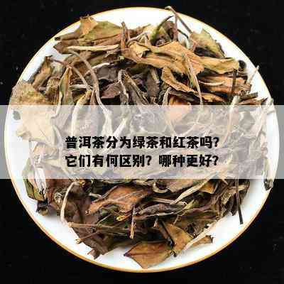 普洱茶分为绿茶和红茶吗？它们有何区别？哪种更好？