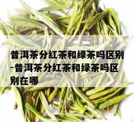 普洱茶分红茶和绿茶吗区别-普洱茶分红茶和绿茶吗区别在哪