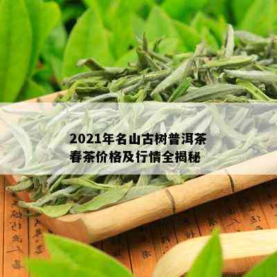 2021年名山古树普洱茶春茶价格及行情全揭秘