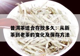 普洱茶适合存放多久：从新茶到老茶的变化及保存方法