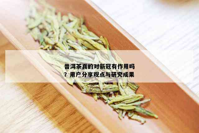 普洱茶真的对新冠有作用吗？用户分享观点与研究成果