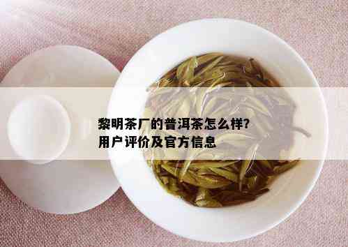 黎明茶厂的普洱茶怎么样？用户评价及官方信息