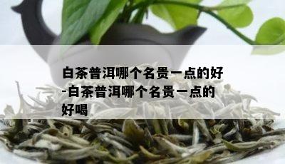 白茶普洱哪个名贵一点的好-白茶普洱哪个名贵一点的好喝