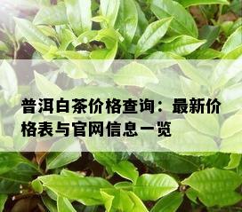 普洱白茶价格查询：最新价格表与官网信息一览