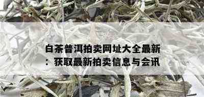 白茶普洱拍卖网址大全最新：获取最新拍卖信息与会讯