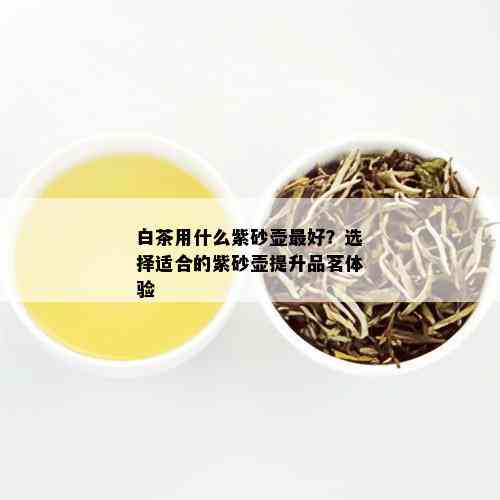 白茶用什么紫砂壶更好？选择适合的紫砂壶提升品茗体验