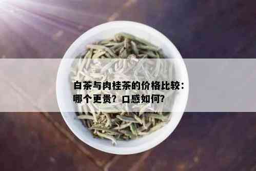 白茶与肉桂茶的价格比较：哪个更贵？口感如何？