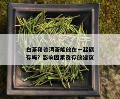 白茶和普洱茶能放在一起储存吗？影响因素及存放建议