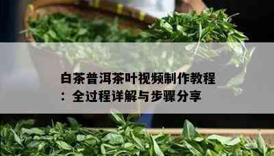 白茶普洱茶叶视频制作教程：全过程详解与步骤分享