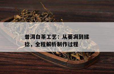 普洱白茶工艺：从萎凋到揉捻，全程解析制作过程