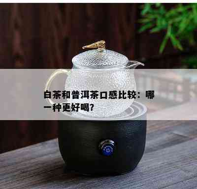 白茶和普洱茶口感比较：哪一种更好喝？