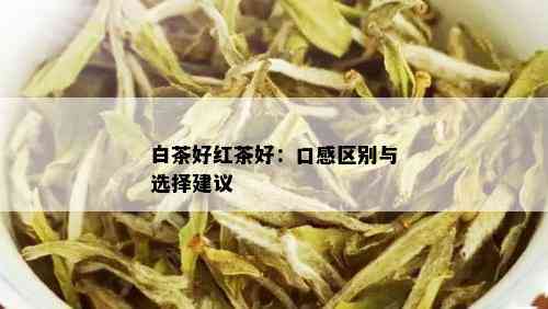 白茶好红茶好：口感区别与选择建议