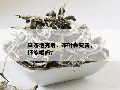 白茶泡完后，茶叶会变黄，还能喝吗？