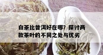 白茶比普洱好在哪？探讨两款茶叶的不同之处与优劣