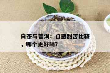 白茶与普洱：口感甜苦比较，哪个更好喝？