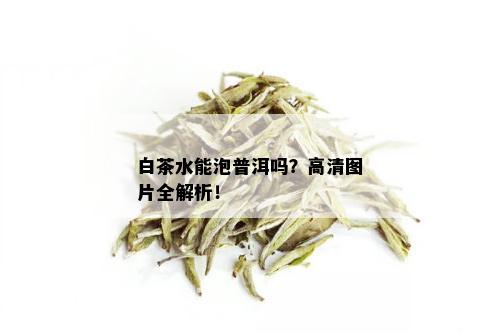 白茶水能泡普洱吗？高清图片全解析！