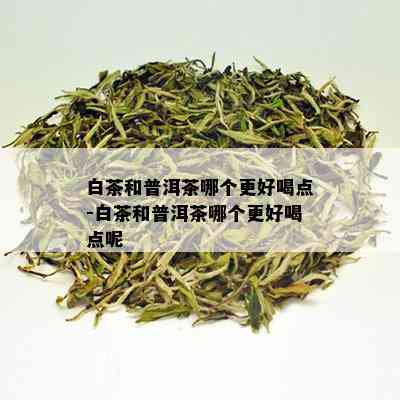 白茶和普洱茶哪个更好喝点-白茶和普洱茶哪个更好喝点呢