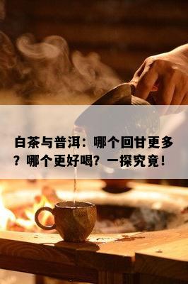 白茶与普洱：哪个回甘更多？哪个更好喝？一探究竟！