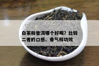 白茶和普洱哪个好喝？比较二者的口感、香气和功效