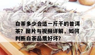 白茶多少合适一斤干的普洱茶？图片与视频详解，如何判断白茶品质好坏？