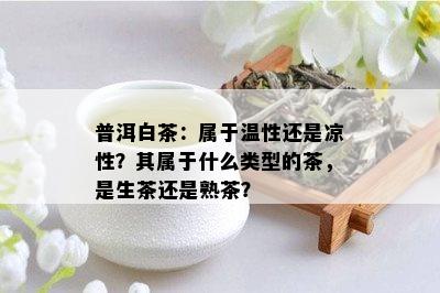 普洱白茶：属于温性还是凉性？其属于什么类型的茶，是生茶还是熟茶？