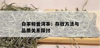 白茶和普洱茶：存放方法与品质关系探讨