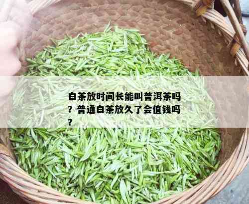 白茶放时间长能叫普洱茶吗？普通白茶放久了会值钱吗？