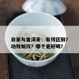 白茶与普洱茶：有何区别？功效如何？哪个更好喝？