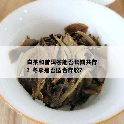 白茶和普洱茶能否长期共存？冬季是否适合存放？