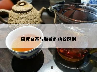 探究白茶与熟普的功效区别