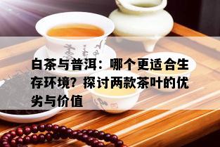 白茶与普洱：哪个更适合生存环境？探讨两款茶叶的优劣与价值