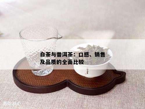 白茶与普洱茶：口感、销售及品质的全面比较