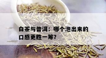 白茶与普洱：哪个泡出来的口感更胜一筹？