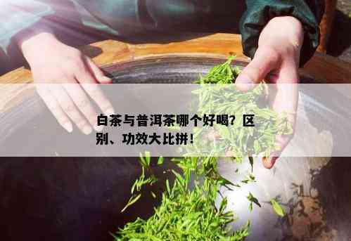 白茶与普洱茶哪个好喝？区别、功效大比拼！