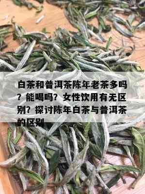 白茶和普洱茶陈年老茶多吗？能喝吗？女性饮用有无区别？探讨陈年白茶与普洱茶的区别