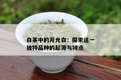 白茶中的月光白：探索这一独特品种的起源与特点