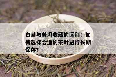 白茶与普洱收藏的区别：如何选择合适的茶叶进行长期保存？