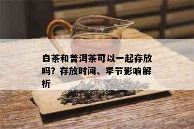 白茶和普洱茶可以一起存放吗？存放时间、季节影响解析