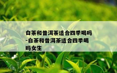 白茶和普洱茶适合四季喝吗-白茶和普洱茶适合四季喝吗女生