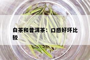 白茶和普洱茶：口感好坏比较