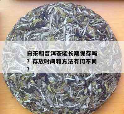 白茶和普洱茶能长期保存吗？存放时间和方法有何不同？