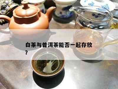 白茶与普洱茶能否一起存放？