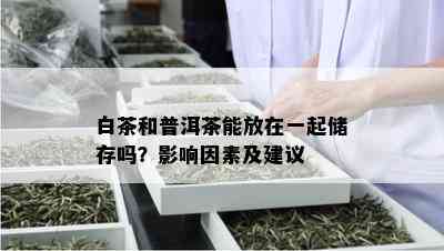 白茶和普洱茶能放在一起储存吗？影响因素及建议