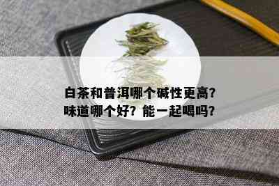 白茶和普洱哪个碱性更高？味道哪个好？能一起喝吗？